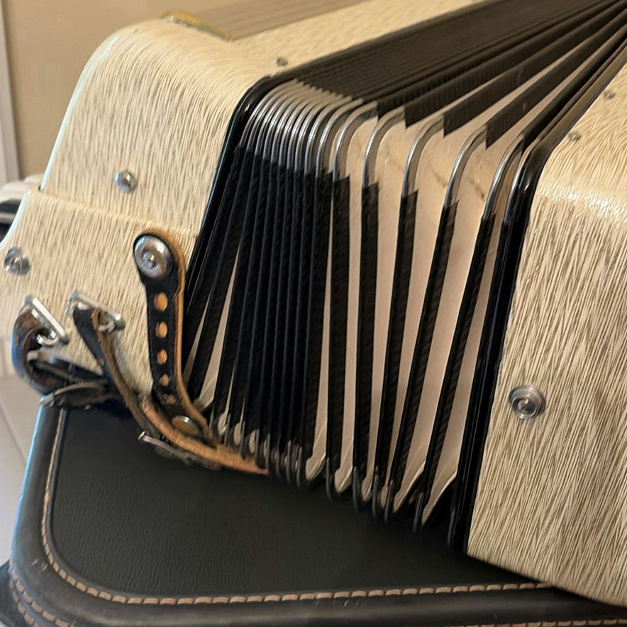 Piano Accordion with Carrying Case - image 9 of 18
