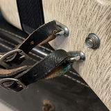 Piano Accordion with Carrying Case - thumbnail 4 of 18
