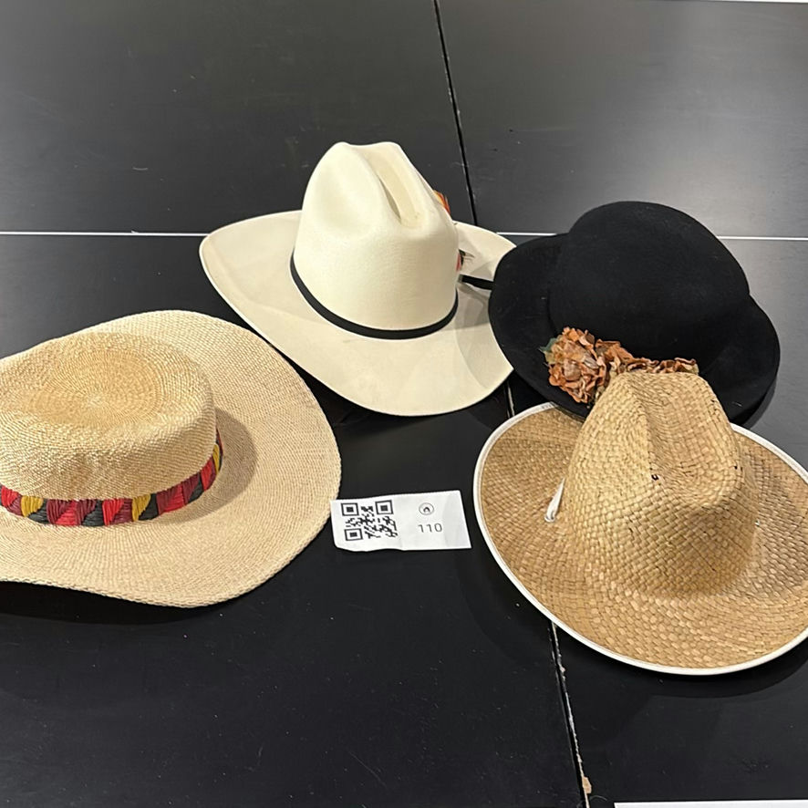 Collection of Straw and Felt Hats - image 1 of 14