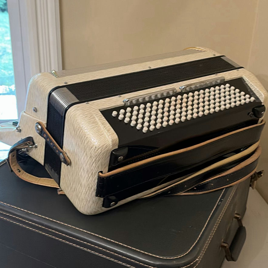 Piano Accordion with Carrying Case - image 7 of 18