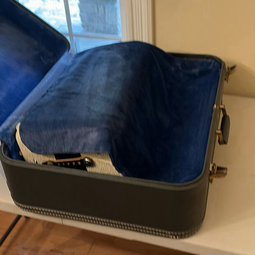 Piano Accordion with Carrying Case - image 18 of 18