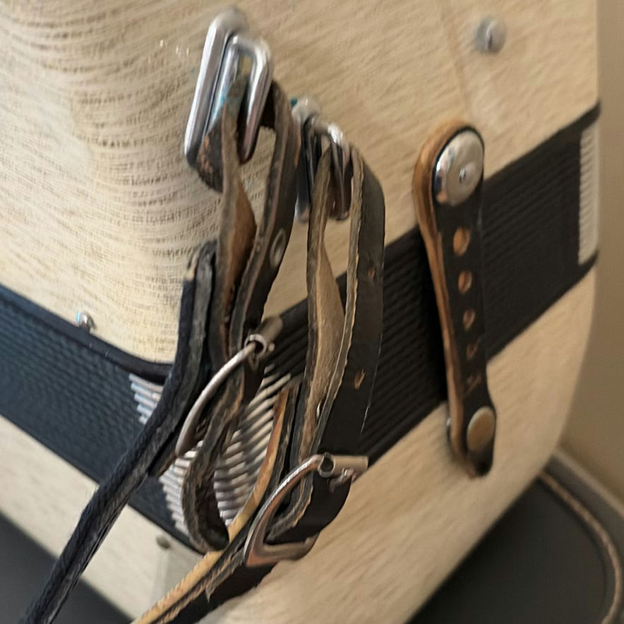 Piano Accordion with Carrying Case - image 16 of 18