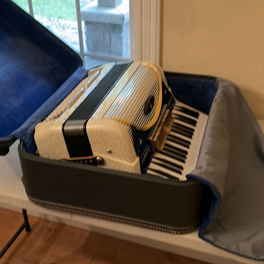 Piano Accordion with Carrying Case - image 17 of 18