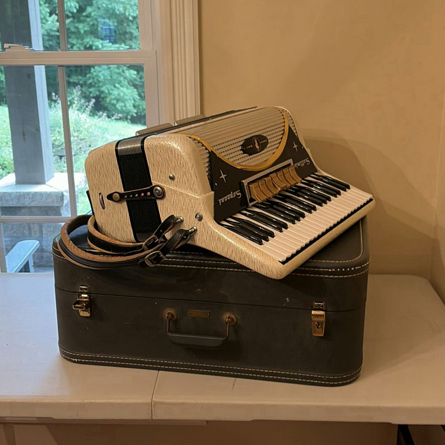 Piano Accordion with Carrying Case - image 1 of 18