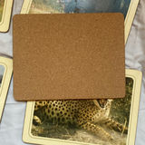 Set of Wildlife Image Placemats - thumbnail 2 of 2