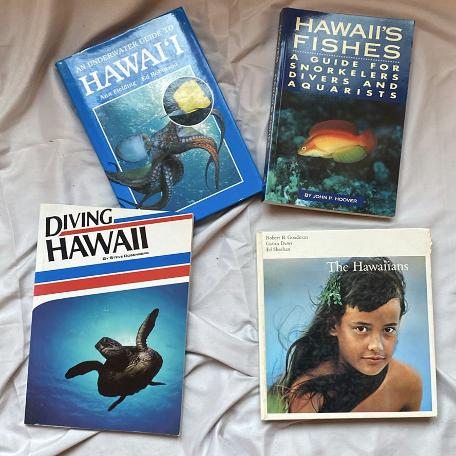 Hawaii Book Lot - image 1 of 1