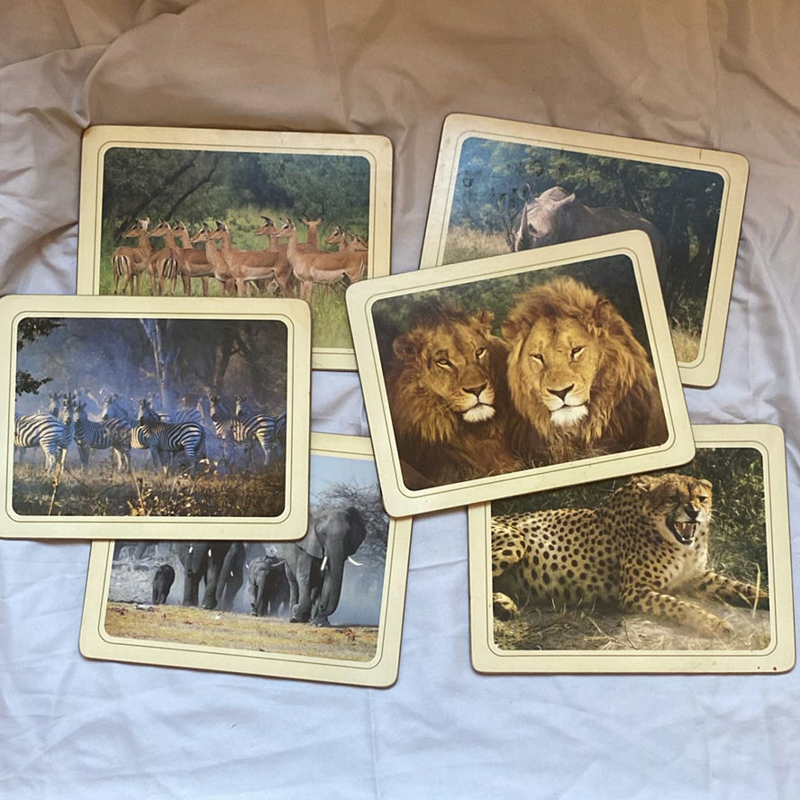 Set of Wildlife Image Placemats - image 1 of 2