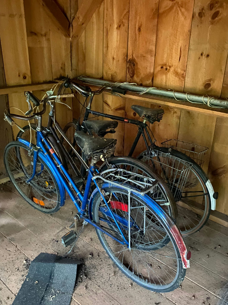 Bikes  - image 1 of 1