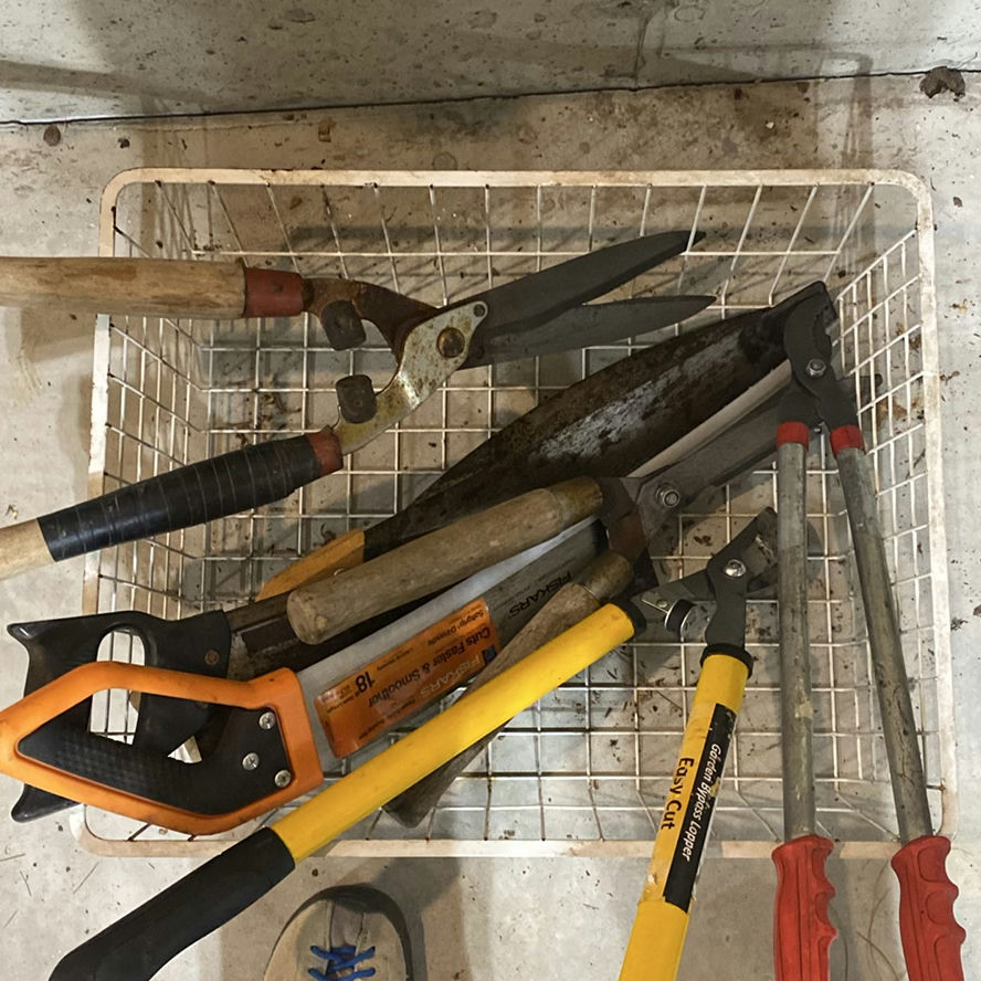 Clippers & Saws - image 1 of 1