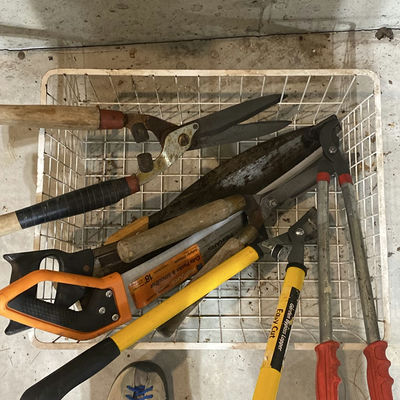 Clippers & Saws - Image 1 of 1