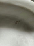 Royal Dux Porcelain Chair Carriage Large - thumbnail 9 of 9