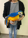 Stieff Plush Parrot - thumbnail 2 of 6