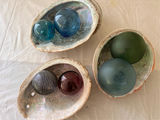 Shells And Glass Floaters - thumbnail 2 of 3