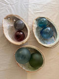 Shells And Glass Floaters - thumbnail 1 of 3