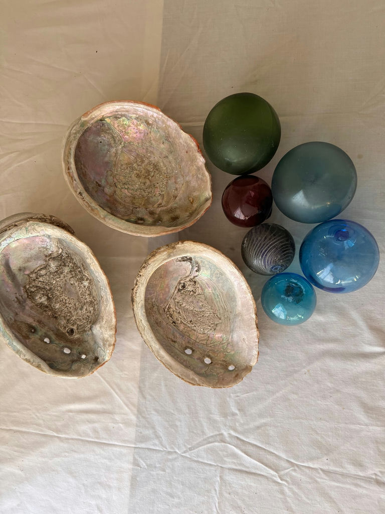 Shells And Glass Floaters - image 3 of 3