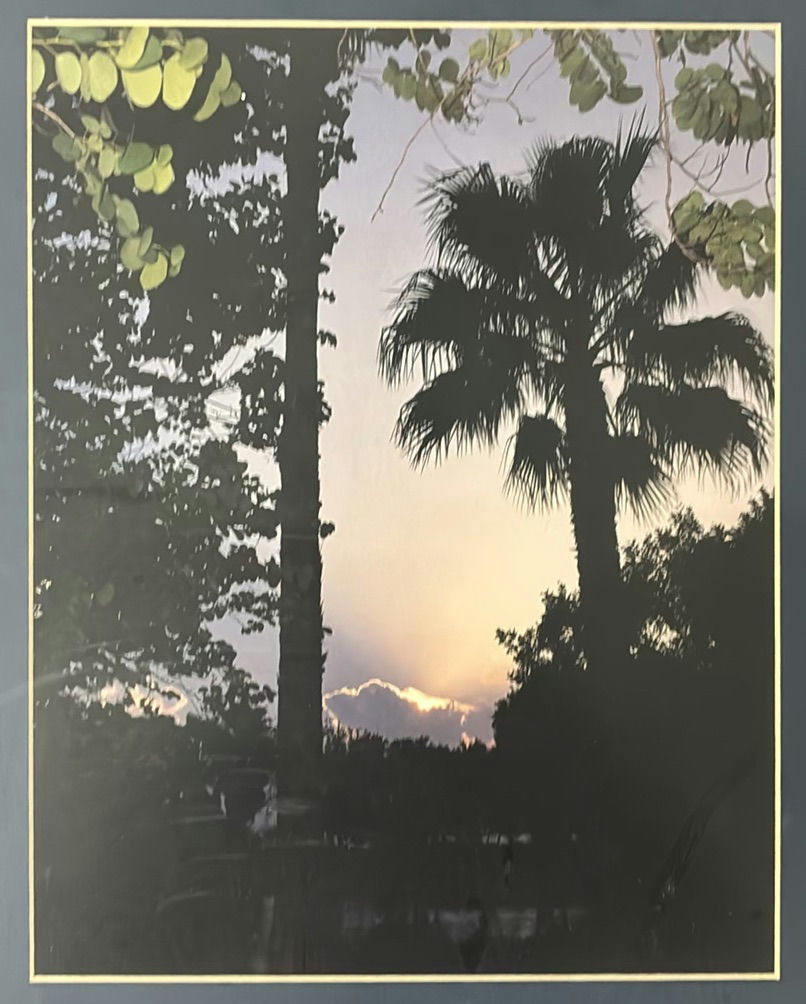 Framed Sunset Palm Tree in South Texas Photograph - image 2 of 2