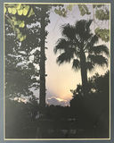 Framed Sunset Palm Tree in South Texas Photograph - thumbnail 2 of 2