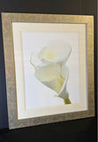 Two framed botanical art prints - thumbnail 5 of 7