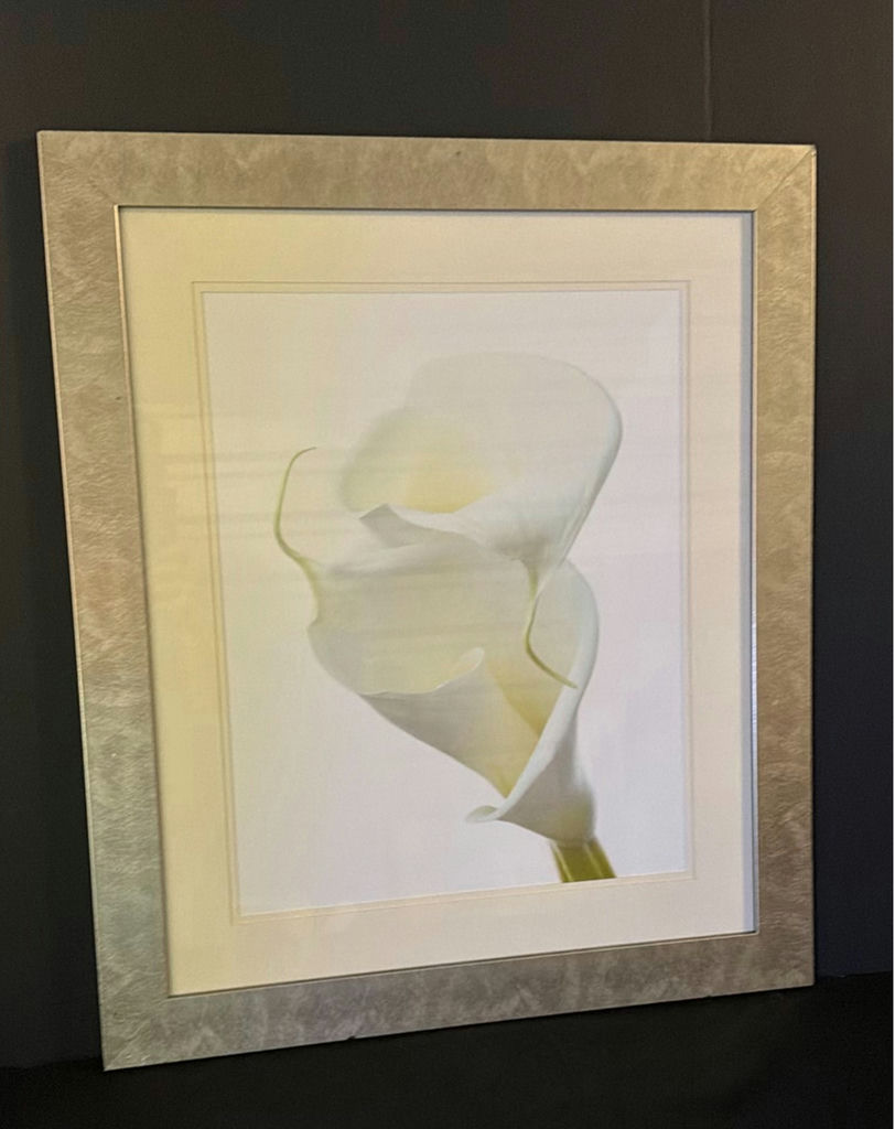 Two framed botanical art prints - image 4 of 7