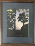Framed Sunset Palm Tree in South Texas Photograph - thumbnail 1 of 2
