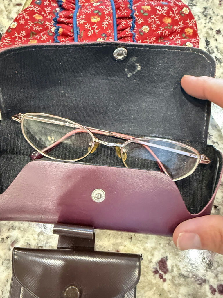 Lot of Novelty Socks, Bookmark, Eyeglasses with Cases & Small Pouches - image 5 of 6