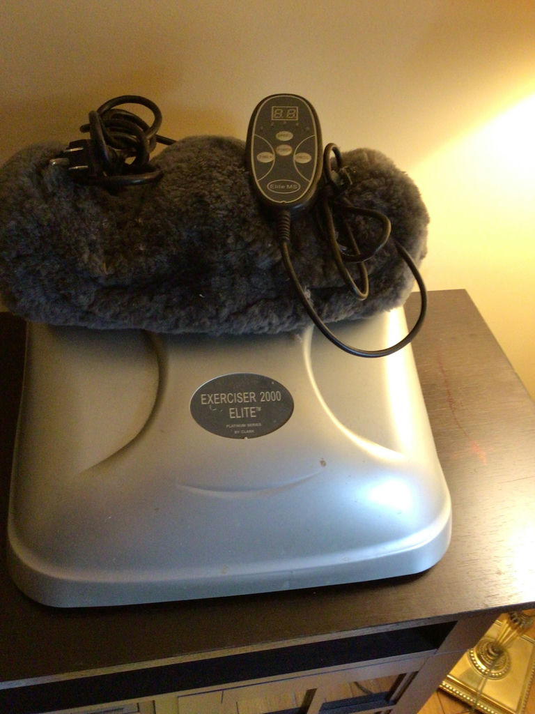 Exerciser 2000 Elite exercise machine with plush pad - image 1 of 2