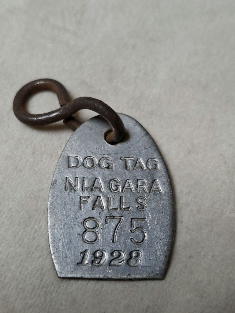 Vintage 1928 Niagara Falls Dog Tag License - image 2 of 3
