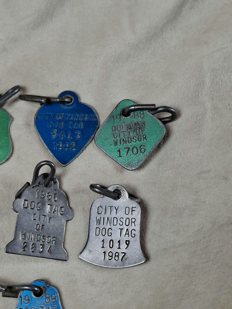 Vintage City of Windsor Dog Tags and Rabies Vaccination Tag - image 3 of 5