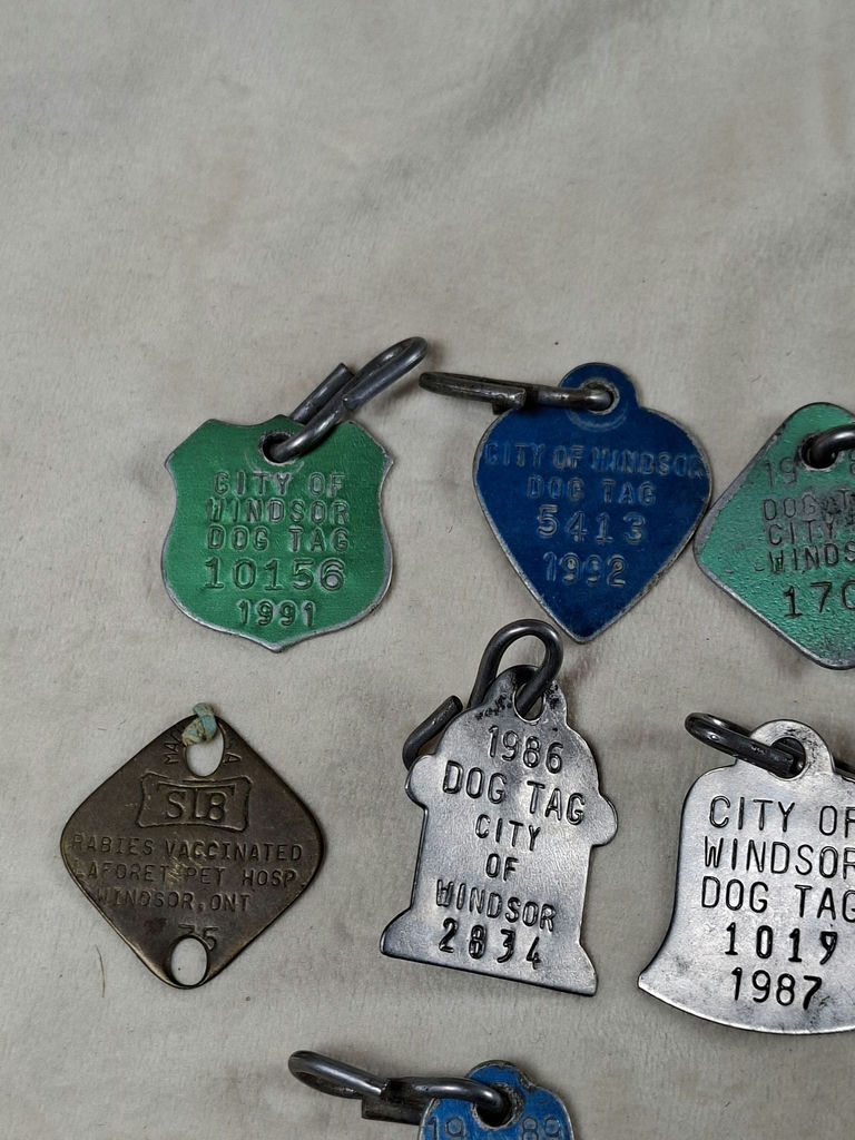 Vintage City of Windsor Dog Tags and Rabies Vaccination Tag - image 2 of 5