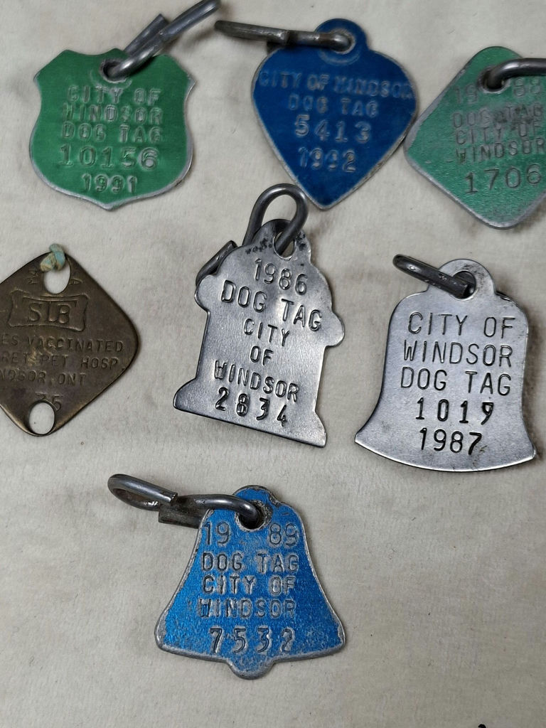 Vintage City of Windsor Dog Tags and Rabies Vaccination Tag - image 4 of 5