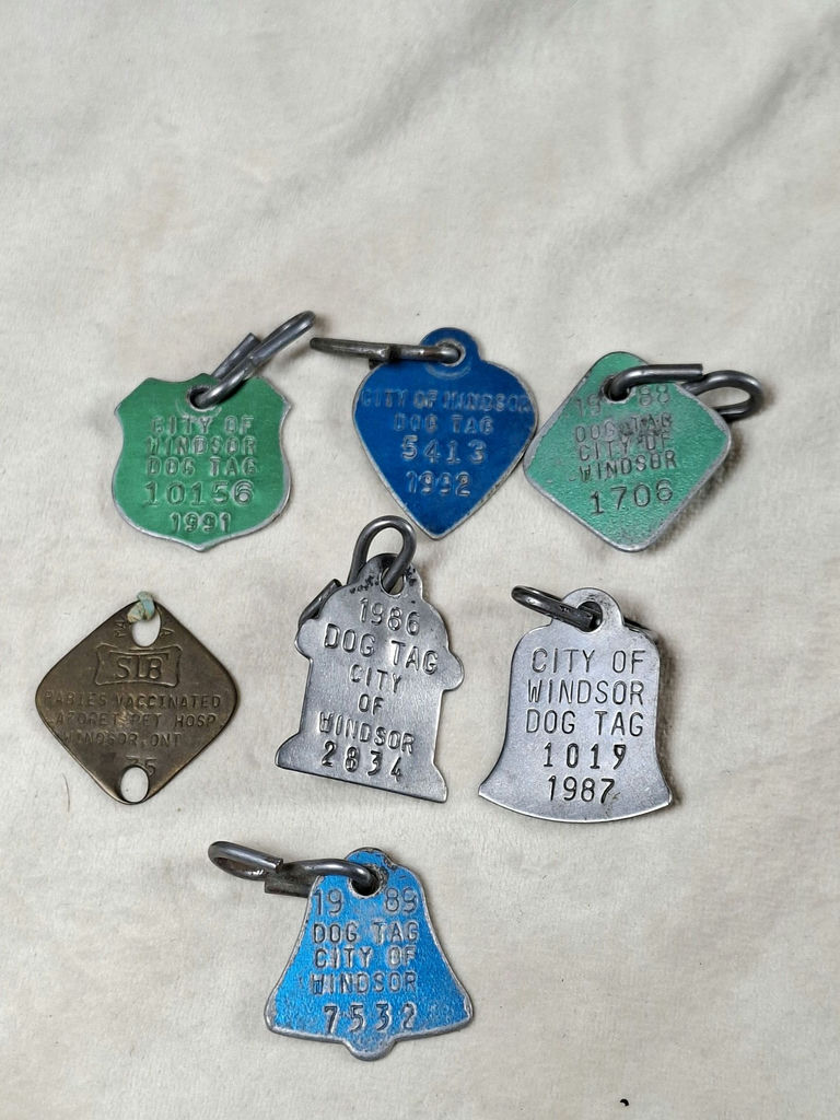 Vintage City of Windsor Dog Tags and Rabies Vaccination Tag - image 1 of 5