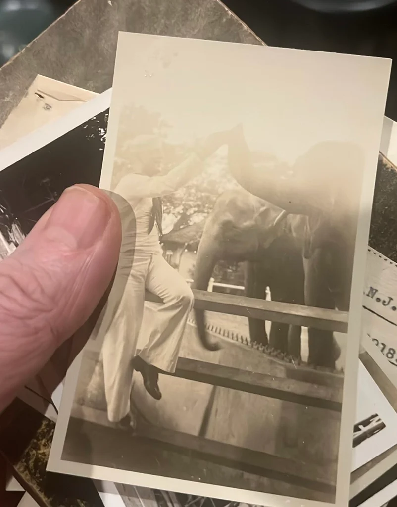 I Sort Light Military Paper From Civil War To World War Ii - image 3 of 10
