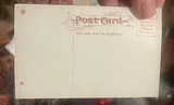 9 Antique Riverboat Postcards - thumbnail 17 of 19