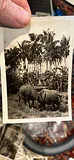31 WW2 Photos Action SE Asian Island - thumbnail 31 of 31