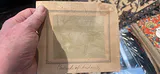 Photos Of Gertrude The Jersey The Cow 1889 Or So Andover, Connecticut - thumbnail 4 of 5