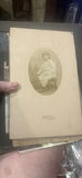 Group Of Cabinet Phots Ohio Boston C.1900 - thumbnail 1 of 8