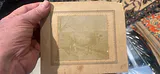 Photos Of Gertrude The Jersey The Cow 1889 Or So Andover, Connecticut - thumbnail 3 of 5