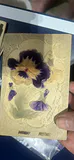 Antique Valentines Cards, Lot Of 10+ - thumbnail 6 of 17