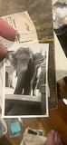 I Sort Light Military Paper From Civil War To World War Ii - thumbnail 6 of 10