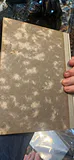 The White Cliffs, 1941 Special Edition By Coward Mccann - thumbnail 3 of 8