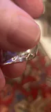 Native American Mid-Century Sterling Silver Organic Form Ring - thumbnail 5 of 5
