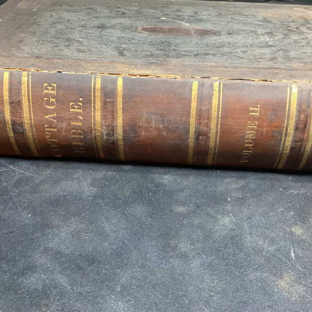 1847 Cottage Bible Vol I & II - image 11 of 20