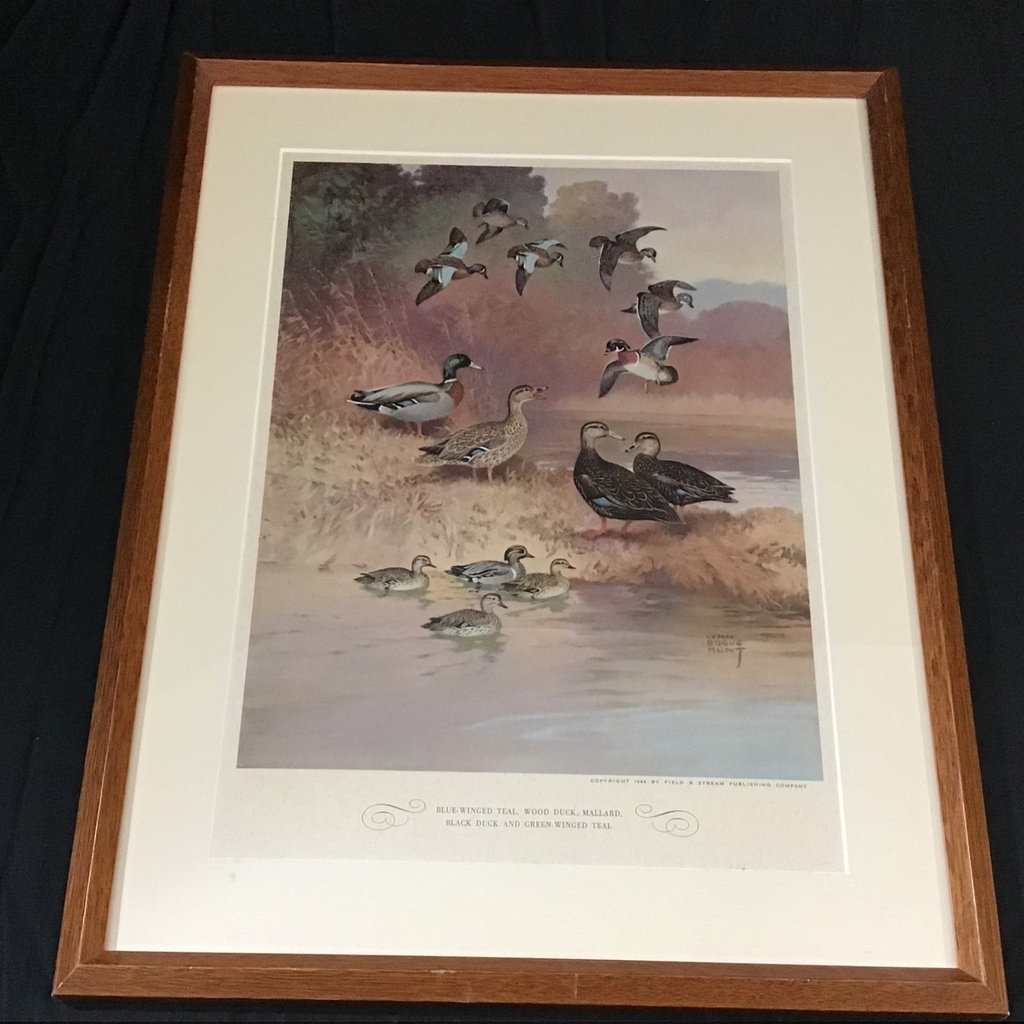 Lynn Bogue Hunt Field & Stream Framed Prints - image 2 of 9