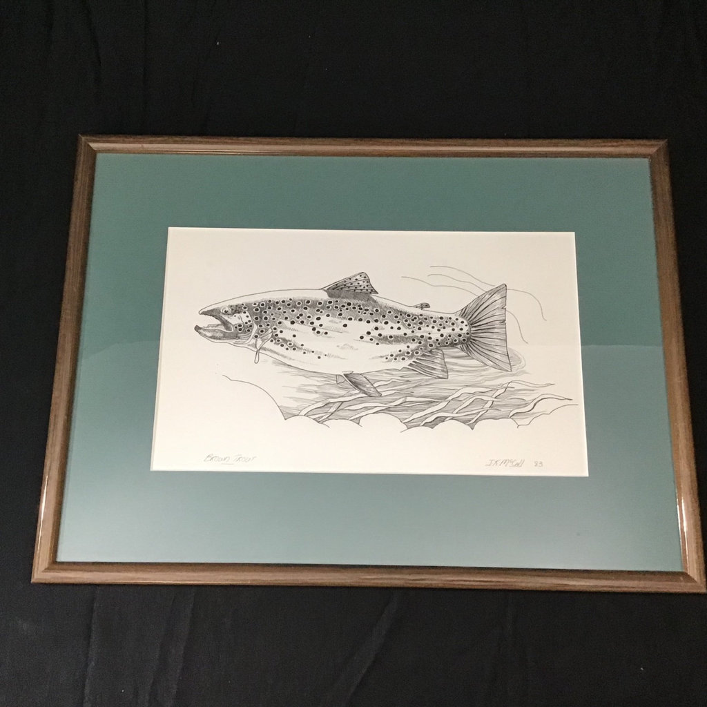 Framed Pen & Ink "Brown Trout" - image 3 of 7
