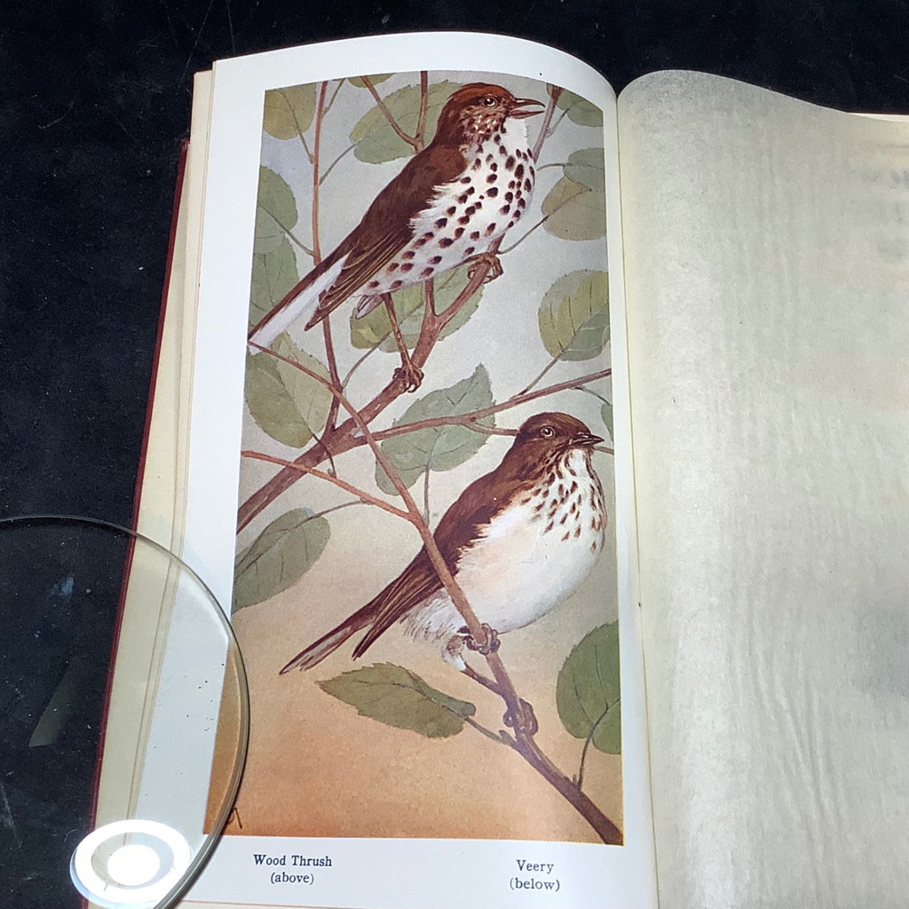 Antique Science & Nature Books - image 17 of 19