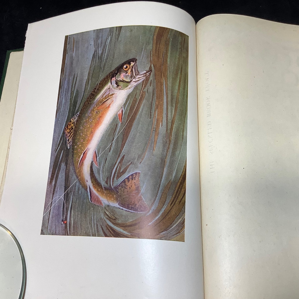 Antique Science & Nature Books - image 3 of 19