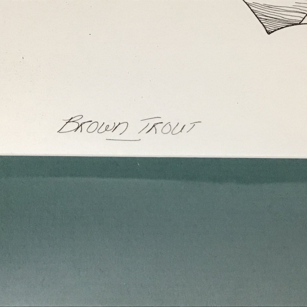 Framed Pen & Ink "Brown Trout" - image 4 of 7