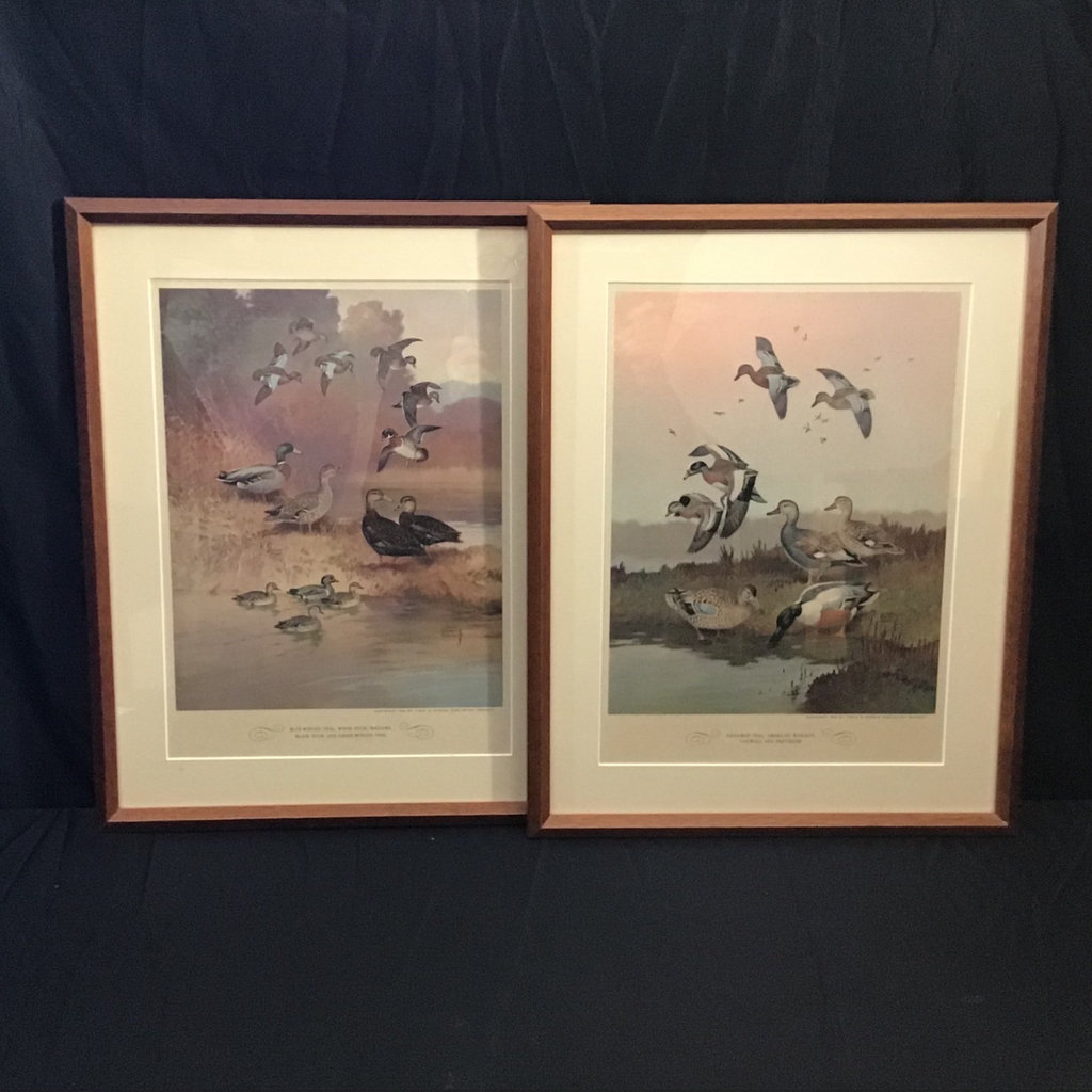 Lynn Bogue Hunt Field & Stream Framed Prints - image 1 of 9