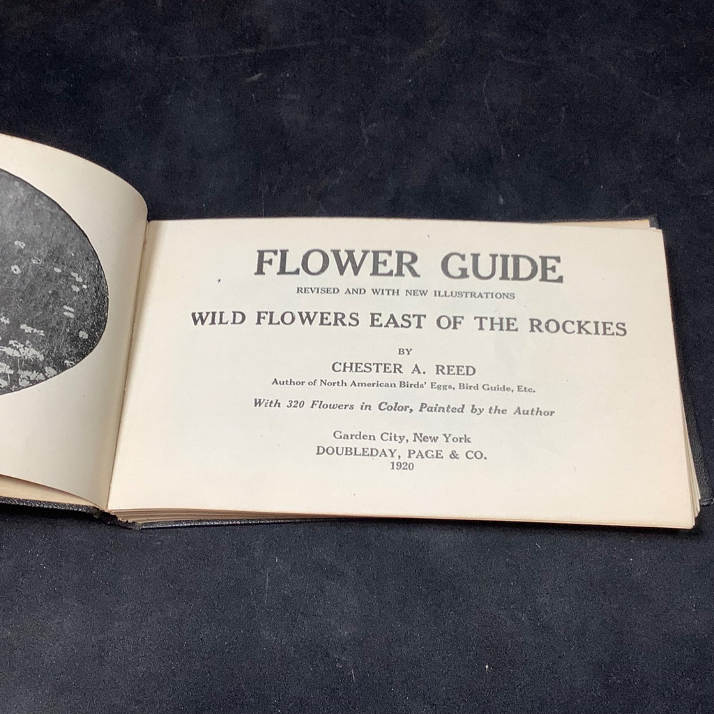 Antique Science & Nature Books - image 11 of 19