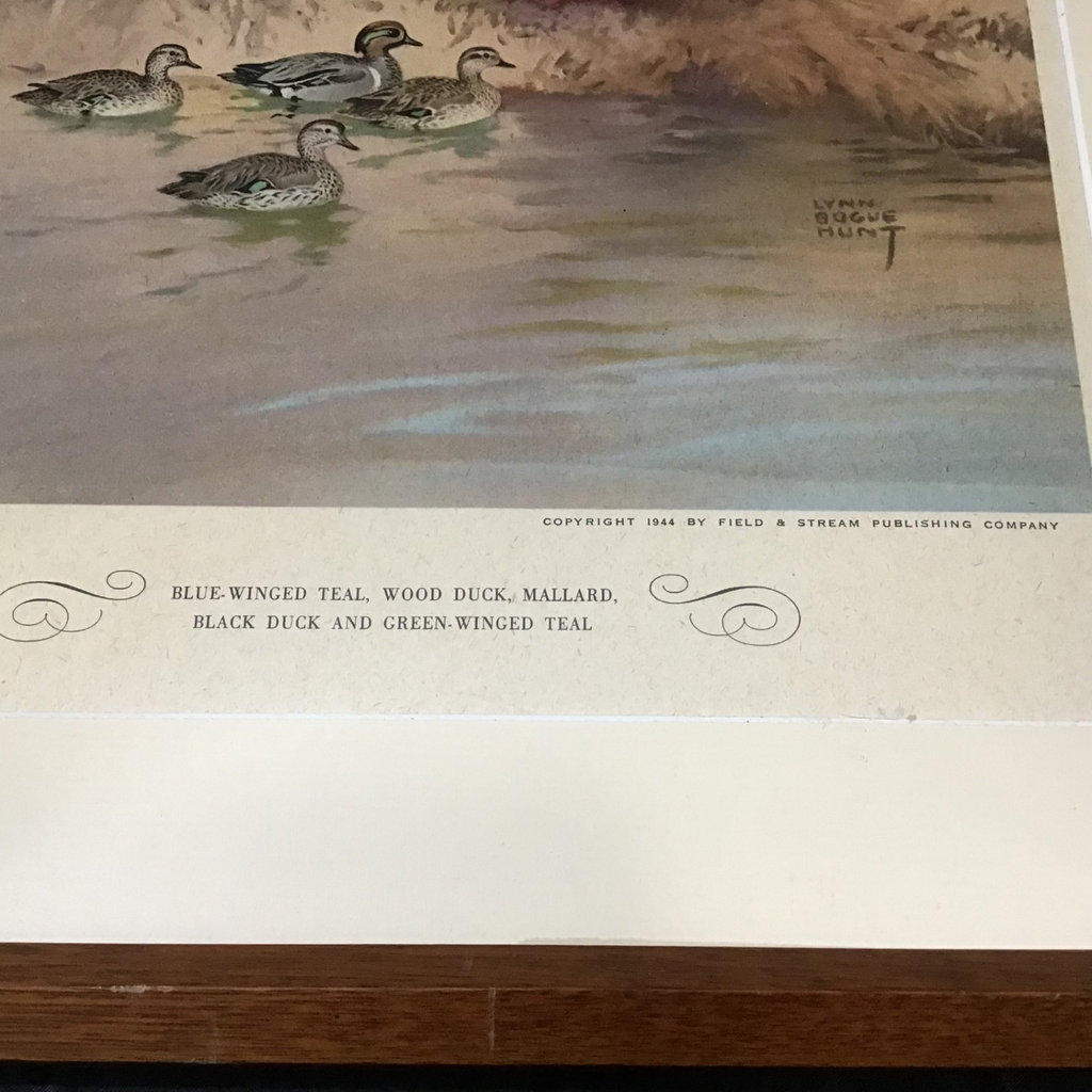 Lynn Bogue Hunt Field & Stream Framed Prints - image 4 of 9